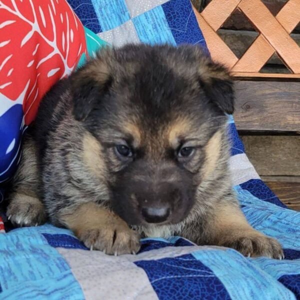 Lucy - Image 3